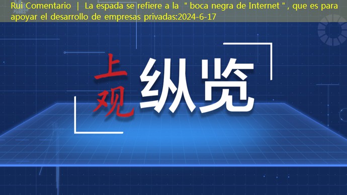 Rui Comentario ｜ La espada se refiere a la ＂boca negra de Internet＂, que es para apoyar el desarrollo de empresas privadas